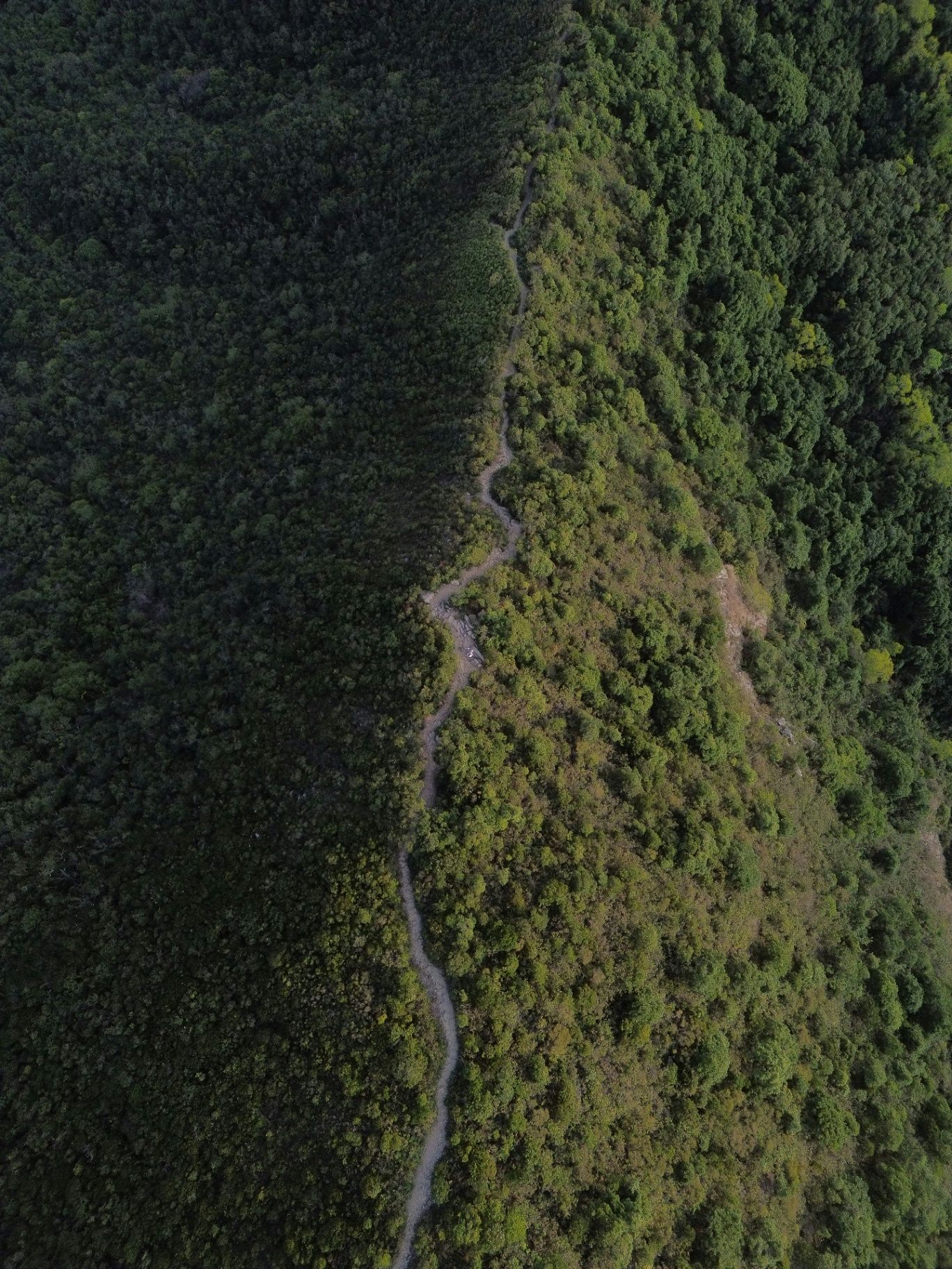 Vista aérea da Serra da Lousã
